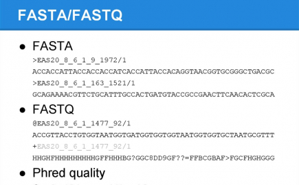 Fasta vs Fastq