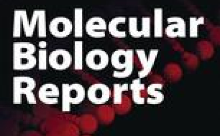  Molecular Biology Reports 