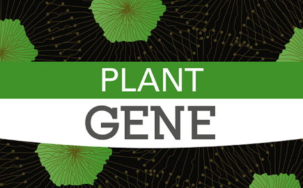 Plant gene